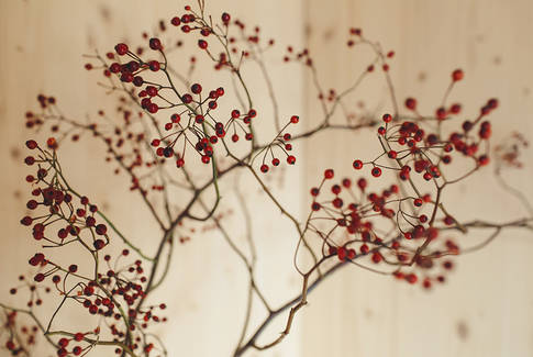 Baum Dekoration im Behandlungszimmer